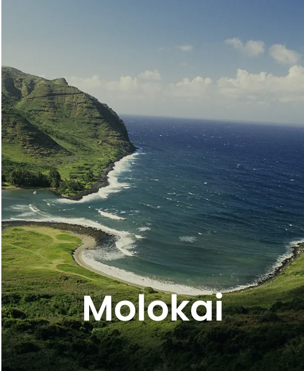 Lanai