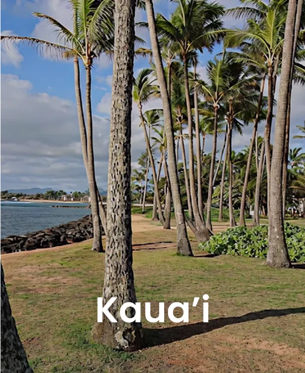 Oahu