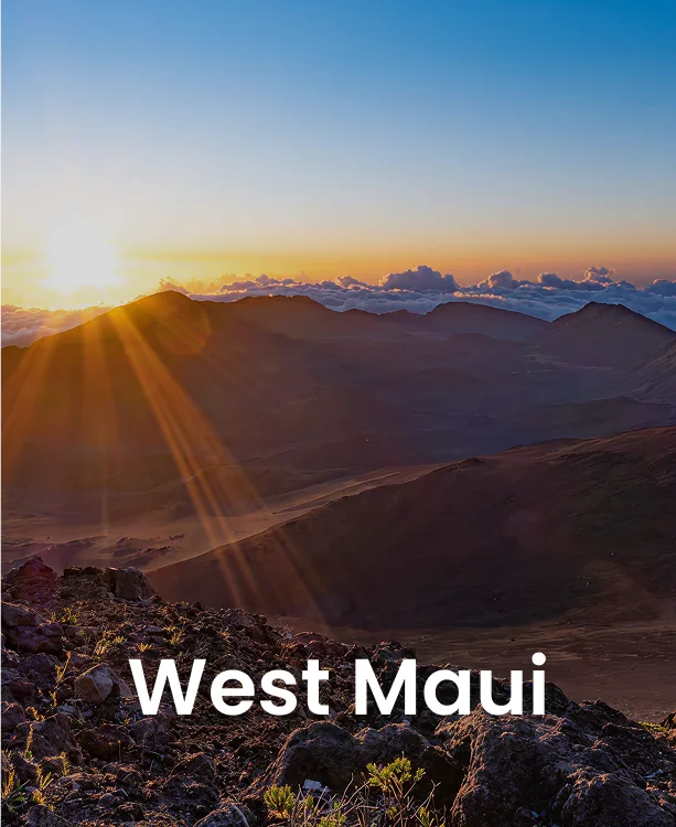 Maui